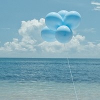 RamblingRover