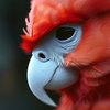 HeliosFlame