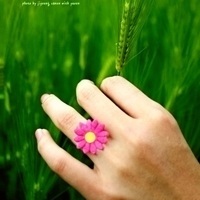 VeraVictory