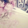 SweetieBee