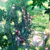 EphemeralRiddle