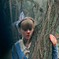 Luminous Reverie