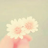 BerrySweet