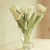 ethereal_grasp