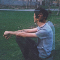 SillyGoose