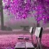 SocialMagnet