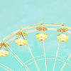 crowd_surfer